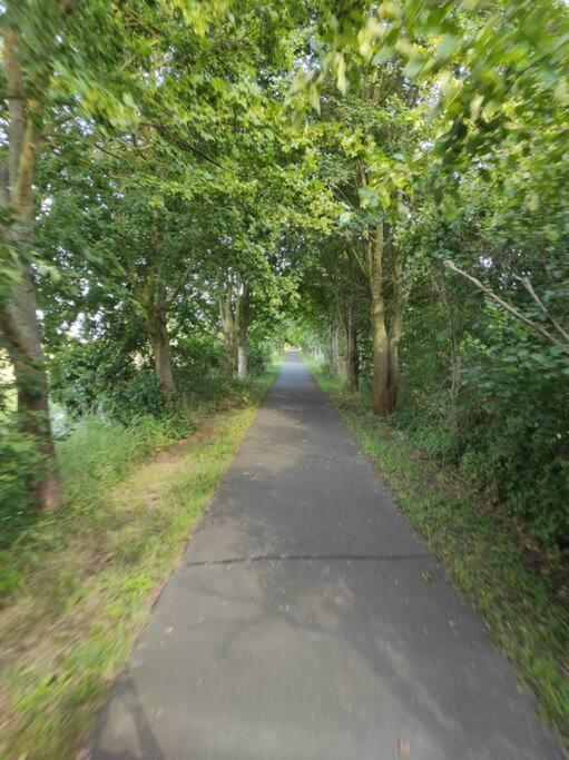 Storchennest - Ferienwohnung Am Storchenradweg Ketzur Ngoại thất bức ảnh