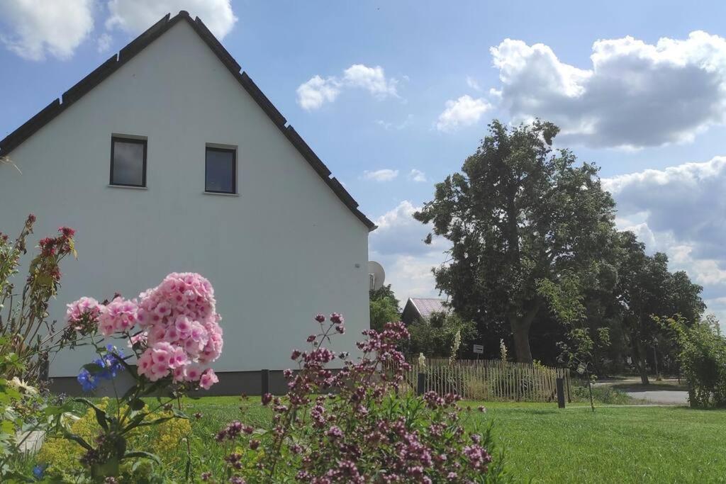 Storchennest - Ferienwohnung Am Storchenradweg Ketzur Ngoại thất bức ảnh