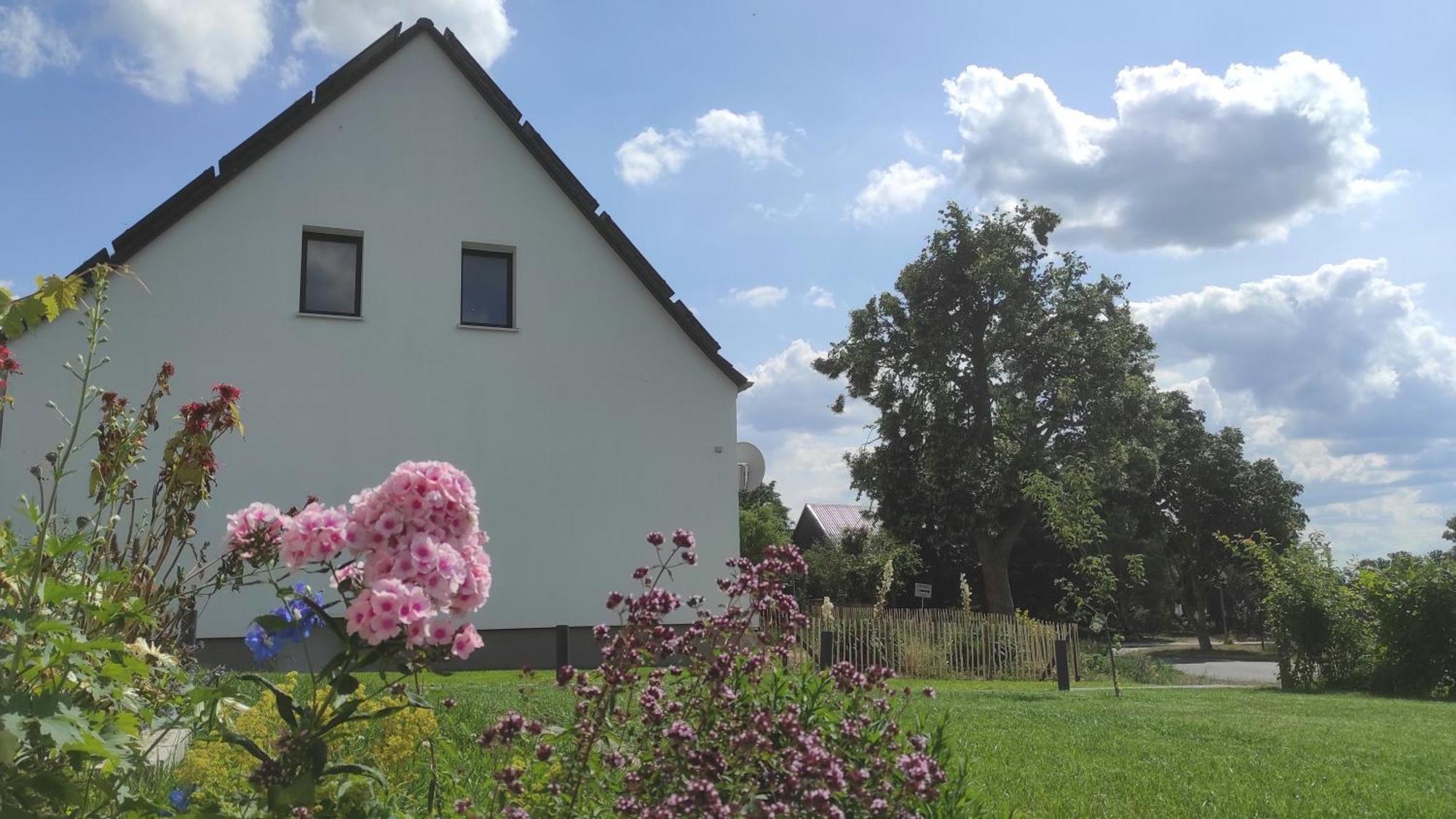 Storchennest - Ferienwohnung Am Storchenradweg Ketzur Ngoại thất bức ảnh